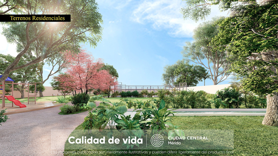 Canal de nado del desarrollo